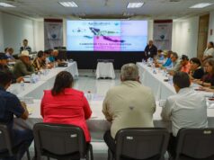 Sinaloa produce más de 7800 ton de camarón en lo que va de la temporada: CONAPESCA