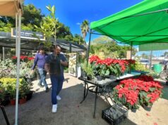Parque Sinaloa anuncia bazar de plantas con descuentos El vivero del Parque Sinaloa realizará en unos días su primer bazar del año, con venta de plantas y árboles regionales a precios preferenciales, para fomentar el cuidado ambiental.