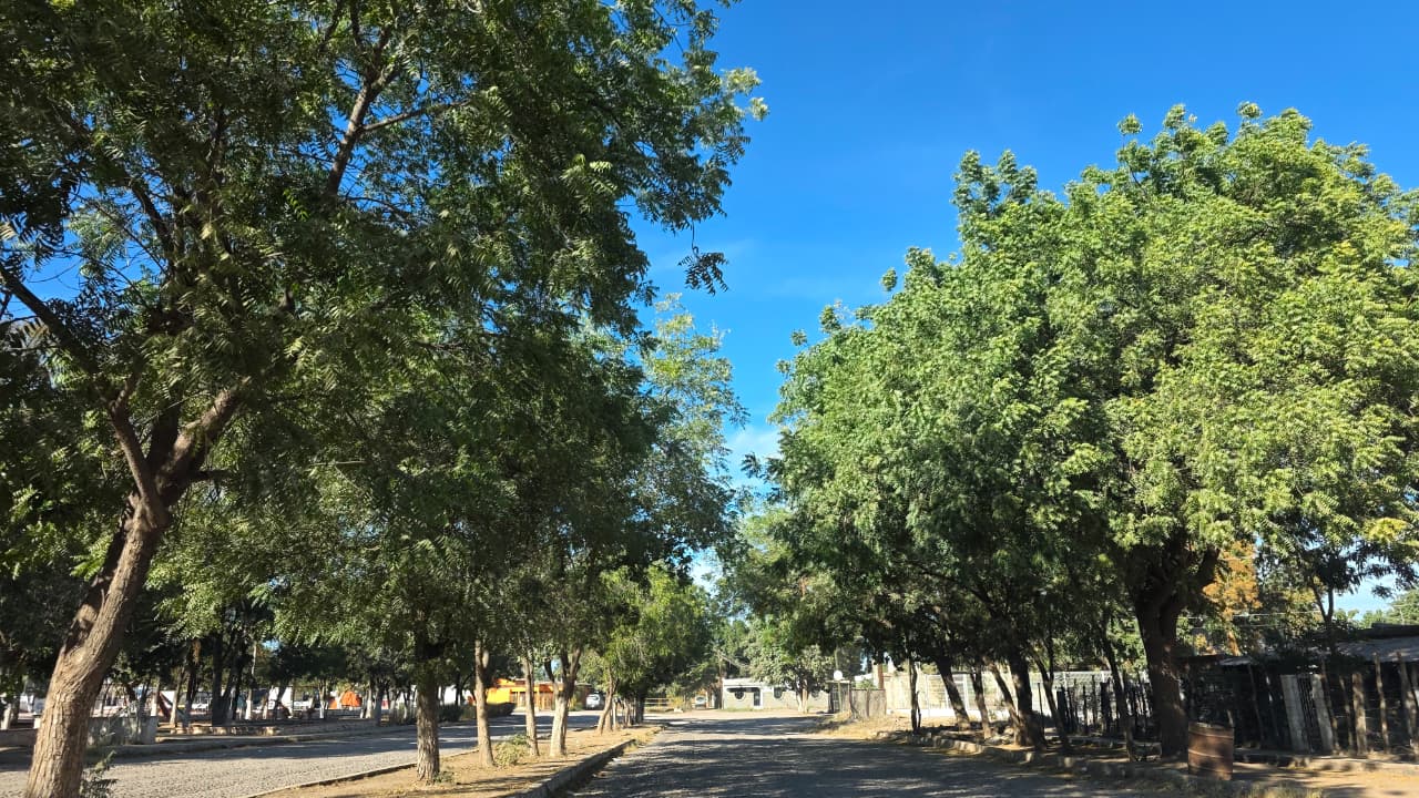 CLIMA 05 JUNIO Rachas de viento de hasta 50 km/h y oleaje de hasta 2.5 metros de altura este día en el Estado.