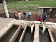 Impulsan proyecto de planta potabilizadora para Agua de las Arenas Ayuntamiento de Juan José Ríos y CEAPAS iniciaron trabajos técnicos para el proyecto ejecutivo de una planta potabilizadora que mejorará la calidad y el acceso al agua en la comunidad.