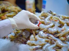Supervisan higiene en Mercado San Francisco ante el inicio de la Vigilancia de Cuaresma 2026 La jornada busca garantizar la seguridad alimentaria de los consumidores y prevenir enfermedades gastrointestinales mediante la correcta conservación de pescados y mariscos.