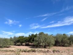 Este miércoles se acercará el nuevo frente frío al noroeste del país Cielo despejado a medio nublado y rachas de viento de hasta 60 km/h este día en el Estado.