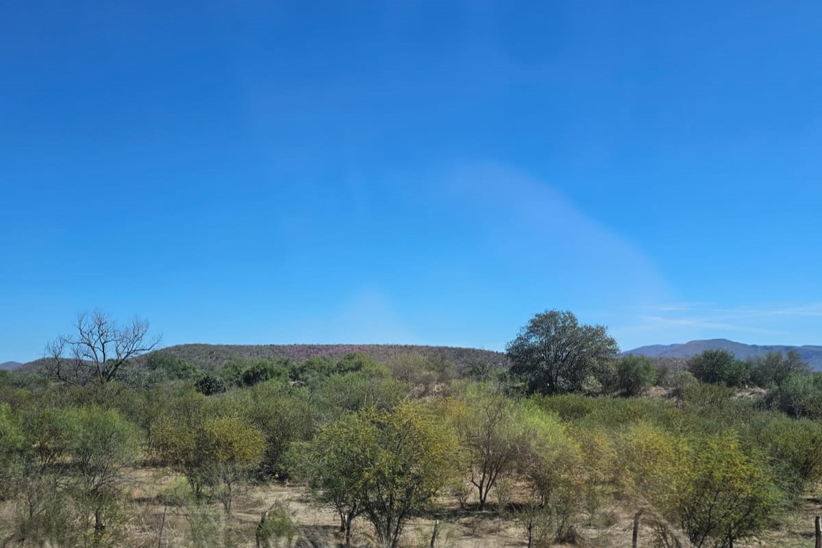 CLIMA 24 FEBRERO Pocos cambios en las condiciones meteorológicas se prevén este día en el Estado.