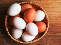 Para desayunos, postres y más, conoce los beneficios de este versátil alimento Uno de los productos más consumidos en nuestro país y la principal fuente de proteína animal en muchas familias mexicanas. Compara su precio, conoce sus beneficios y desmiente mitos acerca de este básico en la canasta de alimentos.