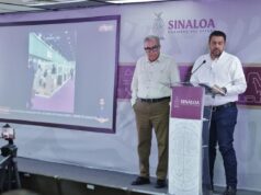 Se espera una cosecha de 4,5 millones de ton de maíz en Sinaloa Desde antes de la cosecha, que se estima a finales de febrero, ya se negocia su colocación en los mercados de exportación.