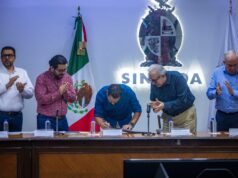 Definen esquema de compra-venta anticipada de maíz sinaloense, entrará el 70% de la producción