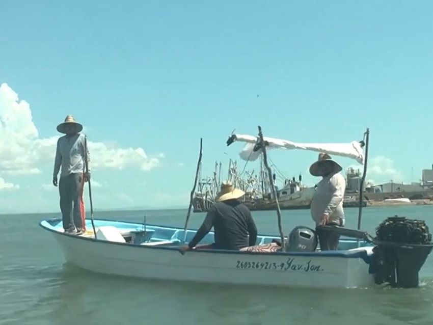 AHOME VEDA CAMARON 02 MARZO Ante la restricción, el sector se enfocará en la captura de jaiba para aprovechar la demanda de Cuaresma y trabajará con el Gobierno del Estado en operativos contra la pesca ilegal.