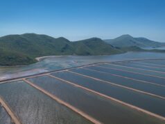 Acuacultores sinaloenses piden a la presidenta Claudia Sheinbaum freno a la importación de camarón A partir de ahora, todo productor deberá tramitar sus permisos ante el CESASIN, buscando garantizar la sanidad, trazabilidad y legalidad del producto (especialmente el camarón) desde el laboratorio hasta su comercialización.