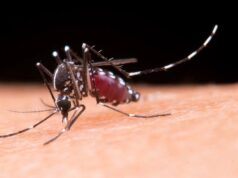 Ahome supera los 100 casos de dengue en lo que va del año Aunque se trata de casos aislados y no hay reportes de gravedad en hospitales, la autoridad recordó que el dengue es endémico en la región y exhortó a la población a eliminar criaderos en patios y banquetas para evitar repuntes.