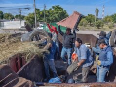 Jornadas de descacharrización y fumigación contra el dengue en Ahome La directora María Isabel Astorga Soto informó que este 30 de abril se recolectarán criaderos en sectores como Álamos Country y Residencial Alameda, mientras que la fumigación se realizará de forma progresiva a partir del lunes.