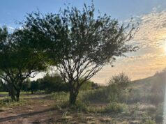 La onda de calor prevalecerá este viernes en Sinaloa El ambiente continuará caluroso y la temperatura no cederá este día en el Estado.