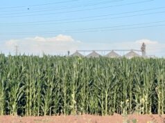 Hoy viernes podría finalizar la onda de calor en Sinaloa Prevalecerá cielo despejado a medio nublado este día en el Estado.