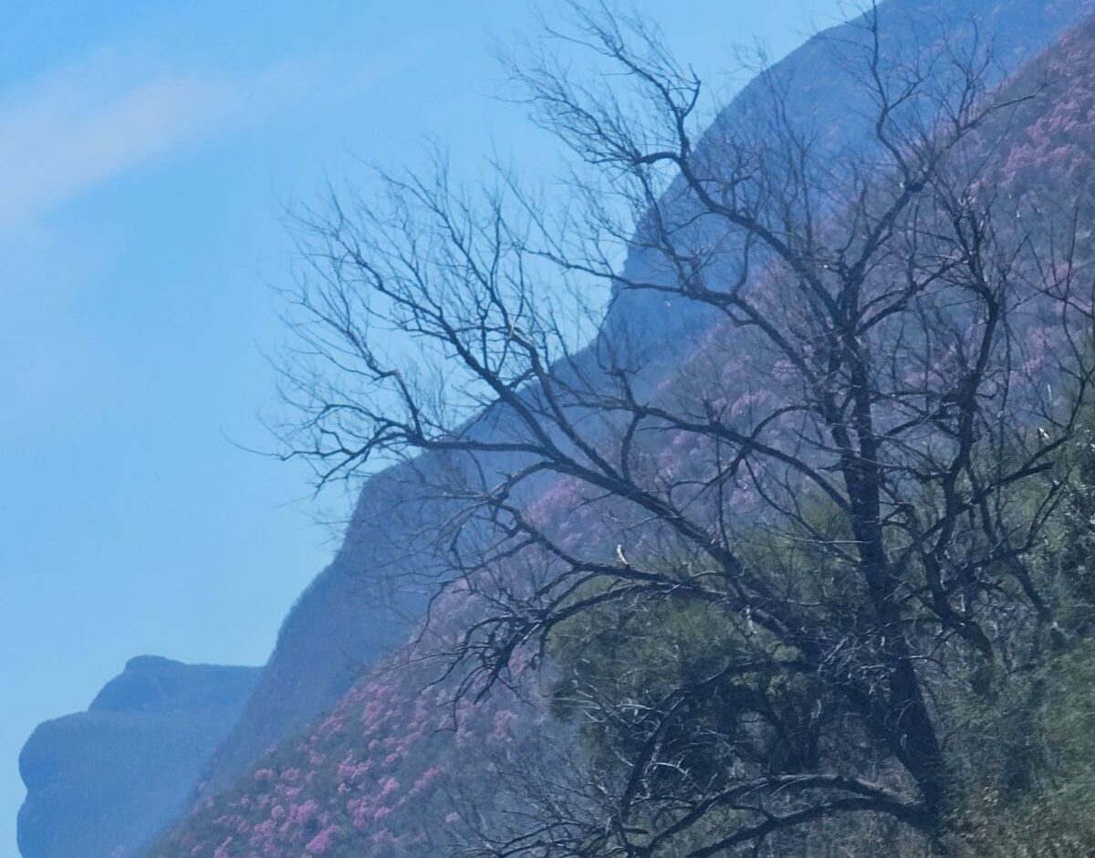 CLIMA 24 ABRIL Habrá cielo despejado y prevalecerá el ambiente caluroso este día en el Estado.