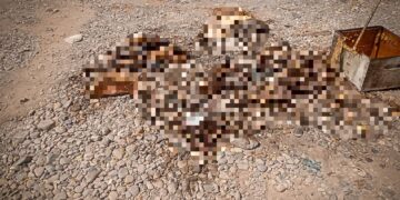 Una mujer de 59 años, resultó hospitalizada con más de 200 picaduras tras ser atacada por un enjambre la mañana de este lunes. PC Municipal controlaron la situación al eliminar un cajón de apicultura en la zona y detectaron más cajas en una bodega cercana, por lo que se dio aviso a SAGARPA para su manejo técnico.
