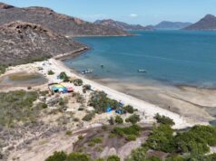 26 mil visitantes disfrutaron la Bahía de Navachiste con saldo Saldo blanco El Operativo Semana Santa 2026 en el nuevo municipio de Juan José Ríos concluyó sin incidentes graves, tras a la vigilancia activa de corporaciones como Cruz Roja, Protección Civil y Seguridad Ciudadana.