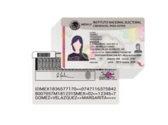 19,500 credenciales de elector vencerán este año en Ahome, llama INE a renovar Invitan a la ciudadanía a actualizar su documento electoral antes de que concluya el año 2026. Los interesados deben acudir al módulo fijo de Los Mochis en horario ampliado, o bien al módulo semifijo.