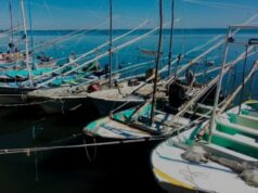 3 mil pescadores y trabajadores se ven afectados por 4 vedas en el norte de Sinaloa José Alfonso Chaparro Bojórquez, dirigente de la Federación de Pescadores Siglo XXI, urgió a revisar los periodos de veda mediante estudios científicos, ya que alternativas como el botete y el callo de hacha son insuficientes.