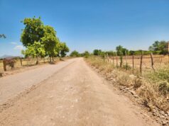 Rehabilita Ayuntamiento de El Fuerte caminos en la sindicatura de Charay Los trabajos buscan optimizar la movilidad de las familias locales, agilizar las actividades productivas y garantizar un tránsito seguro en la región.