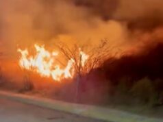 Ante ola de incendios en Los Mochis, no hay indicios de presencia de pirómanos: Seguridad Ahome
