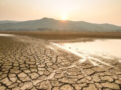 Prevén calor extremo y sequías intentas en el norte de México por fenómeno El Niño Ante este panorama de naturaleza extrema, especialistas urgen a implementar medidas preventivas para proteger cultivos, ganado y el almacenamiento de agua en las presas frente a un impacto inminente.