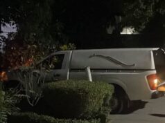 Fallece menor de 13 años tras sufrir accidente a caballo en Higuera de Zaragoza A pesar de la gravedad de sus lesiones, el joven logró llegar por sus propios medios a su vivienda para pedir auxilio. Lamentablemente, falleció a bordo de un vehículo particular mientras sus familiares lo trasladaban.