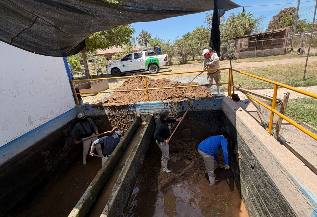 AHOME JAPAMA 01 JUNIO Las labores forman parte del programa preventivo de conservación en infraestructura que permiten mantener un eficiente proceso de potabilización.