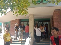 Plantean subsidios para paneles solares como solución al alto costo de la luz Tras señalar que las familias sinaloenses cuentan con el espacio físico pero carecen del capital inicial para adquirir los equipos, hizo un llamado a los diputados federales para gestionar fondos que financien este programa.