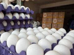 Baja el precio del huevo, en Los Mochis se encuentra la cartera a $60 Luego de varios meses con cotizaciones elevadas que llegaron a superar los 100 pesos, la cartera de huevo con 30 piezas registra una importante reducción.