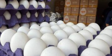 Luego de varios meses con cotizaciones elevadas que llegaron a superar los 100 pesos, la cartera de huevo con 30 piezas registra una importante reducción.