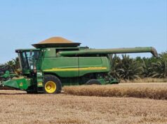 Trigueros solicitan apoyo de 400 pesos al gobierno estatal El líder agrícola Baltazar Hernández Encinas entregó una petición por escrito a la gobernadora Yeraldine Bonilla y a las autoridades de Agricultura para requerir un subsidio emergente que les permita enfrentar los bajos rendimientos y la devaluación del mercado internacional.