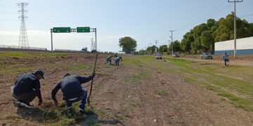 Esta iniciativa ambiental busca rehabilitar los espacios públicos, promover la sustentabilidad y ofrecer áreas de esparcimiento más frescas para las familias.