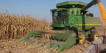 El secretario de Agricultura estatal agradeció el respaldo de las autoridades federales para agilizar este beneficio que busca dar certidumbre económico a las familias del campo sinaloense.