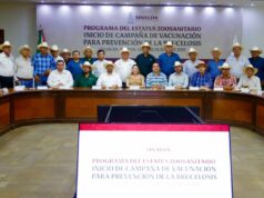 Arranca programa de vacunación contra brucelosis bovina en Sinaloa El Gobierno Estatal puso en marcha la campaña sanitaria 2026 buscando inmunizar a 50 mil cabezas de ganado. La gobernadora urge a los productores comprometerse con el barrido sanitario para alcanzar estándares internacionales de exportación.